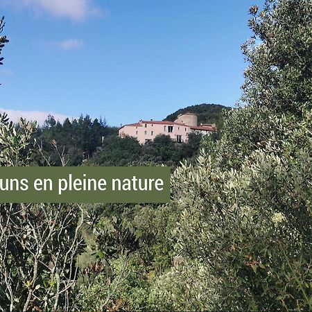 Pyrenees Mon Amour Felluns 외부 사진