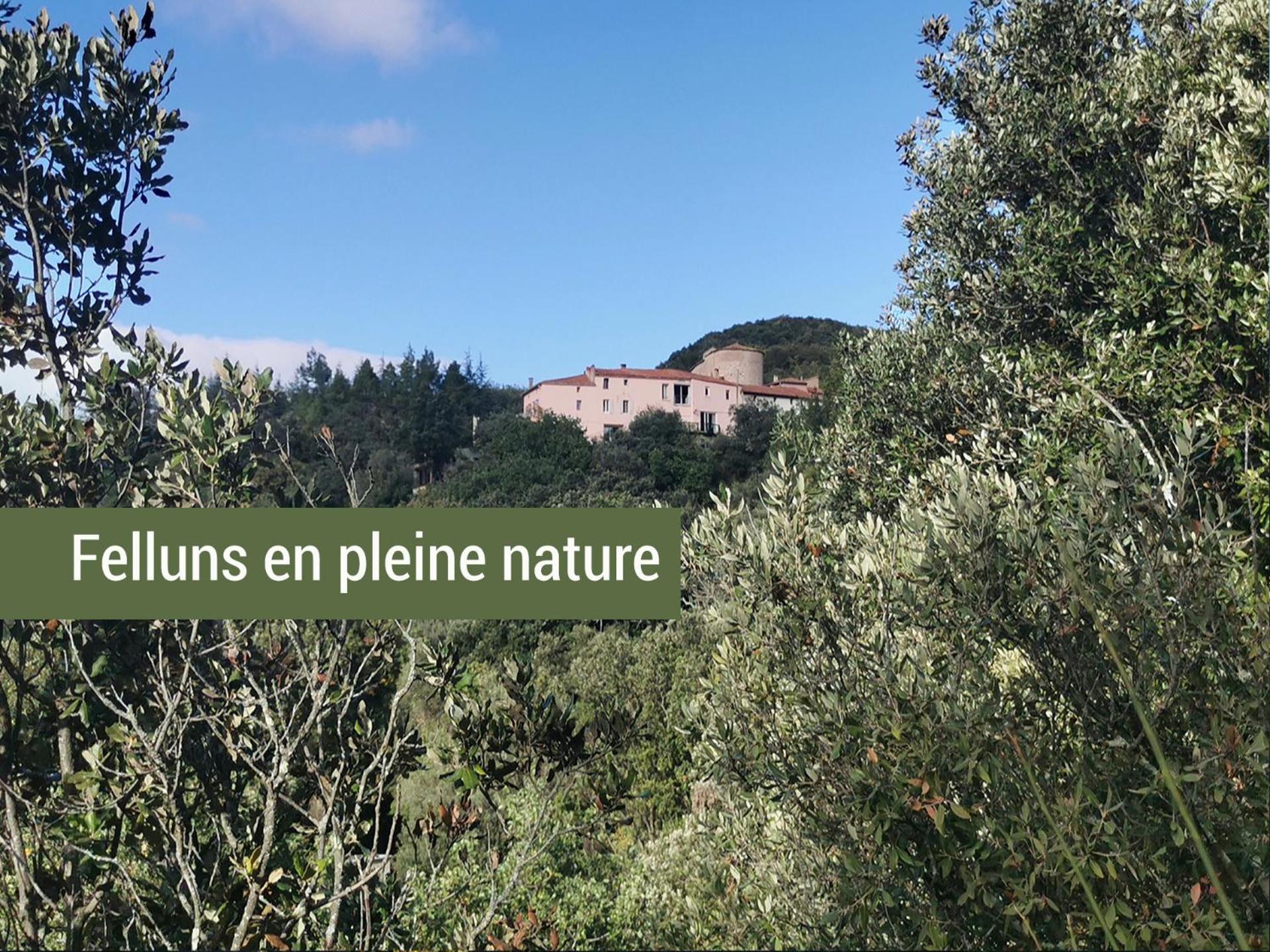 Pyrenees Mon Amour Felluns 외부 사진