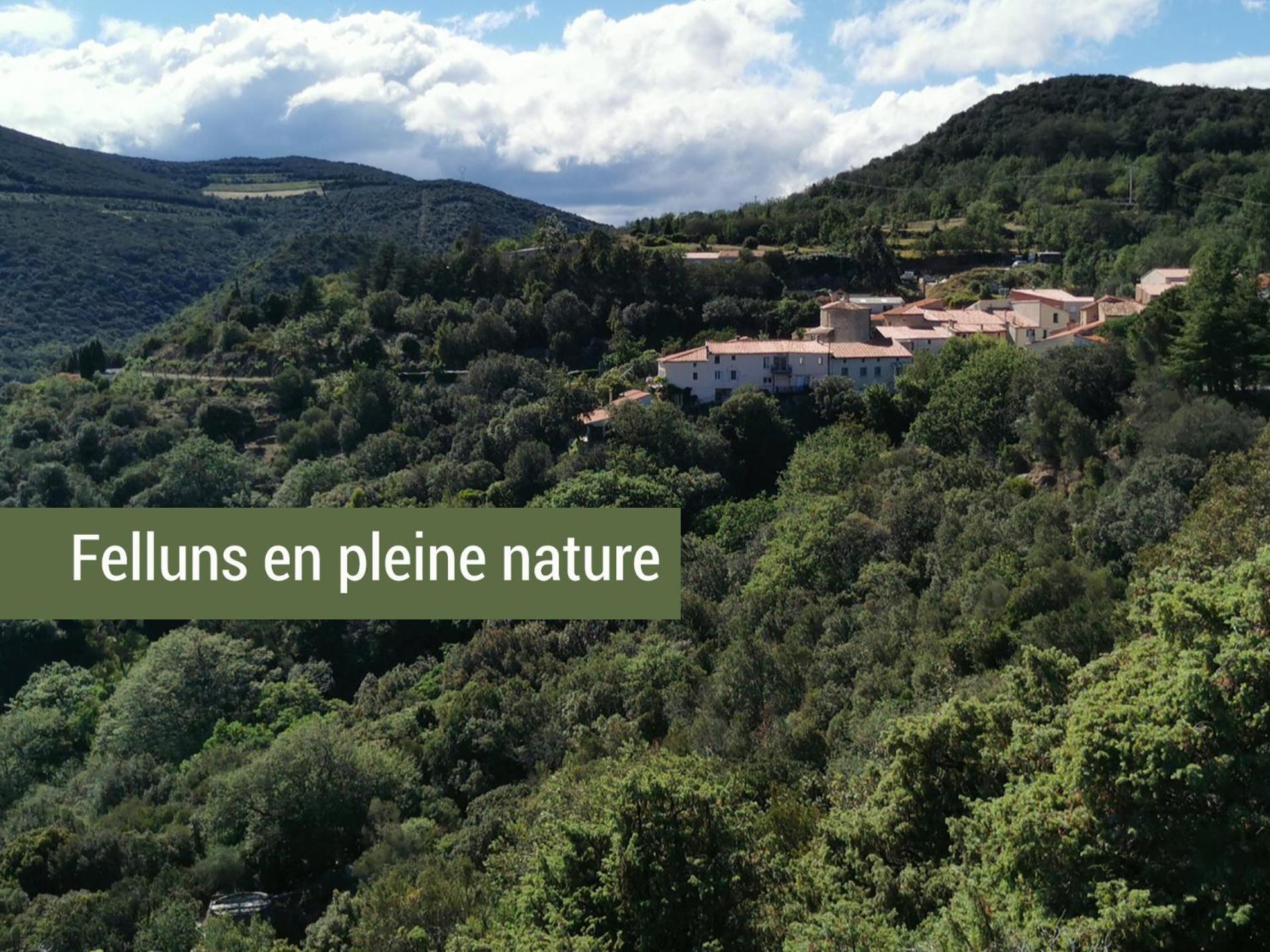 Pyrenees Mon Amour Felluns 외부 사진